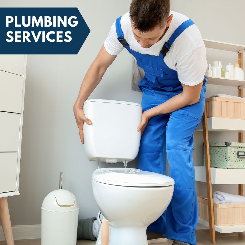 Plumbing Company in Dewitt, IL